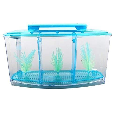 魚 飼育ボックス 繁殖隔離ボックス 新品未使用 透明ミニ水槽 ミニ飼育箱 アクリル吸盤付き アクリル 水族館 孵