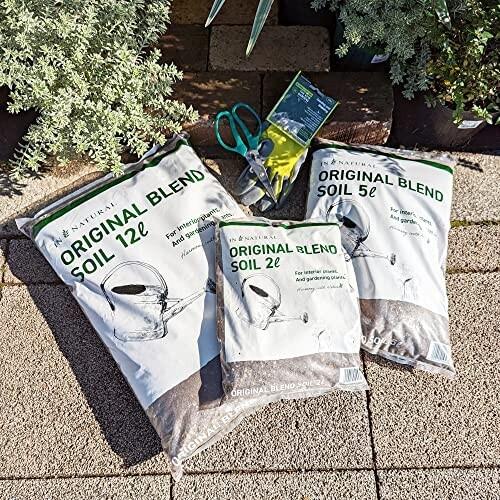 100 正規品 インナチュラル オリジナル培養土 植物全般 草花 観葉植物 野菜 軽量 室内 有機質 5l 園芸用土 Www We Job Com