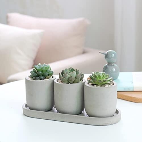 景徳焼 鉢 植木鉢 陶器鉢 多肉植物鉢 おしゃれ 北欧風 サボテン鉢 底穴付き トレー付き 3個入り プランター ラココショップ 通販 Yahoo ショッピング