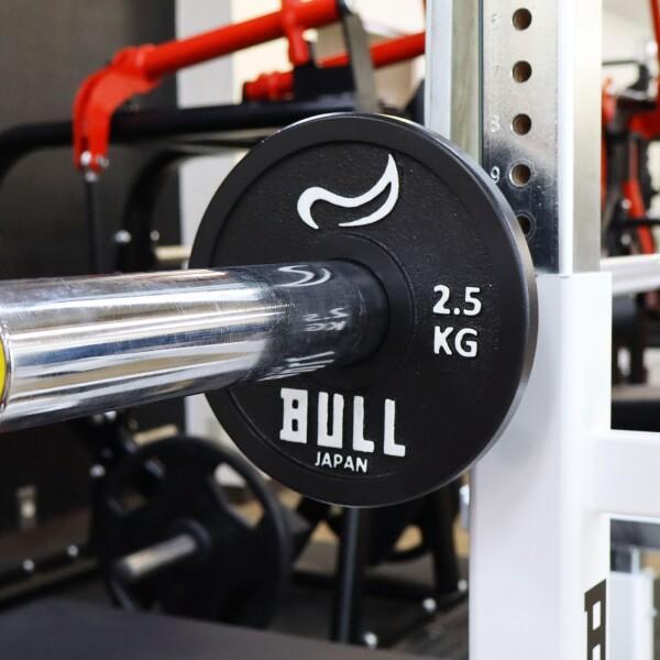 ネーブルサーモ ブル(Bull)パワーリフティングプレート2.5kg 2枚 ネーブルサーモ ブル(Bull)パワーリフティングプレート2.5kg 2枚