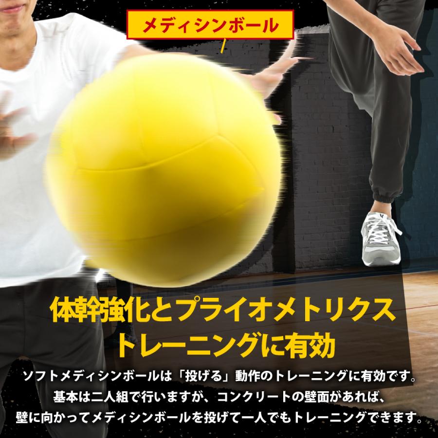 ソフトメディシンボール ウォールボール 3kg マニュアル付 体幹トレーニング インナーマッスル 重いボール|racss|03