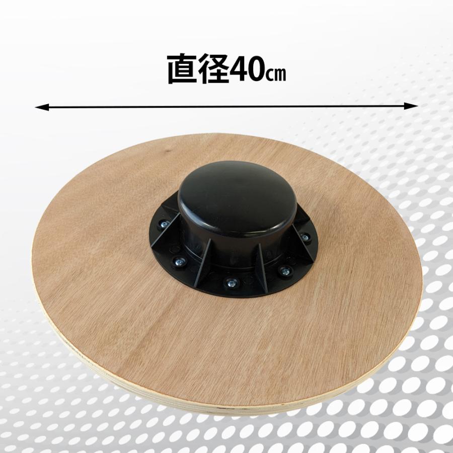 バランスボード バランストレーニングの新しいカタチ マニュアル付