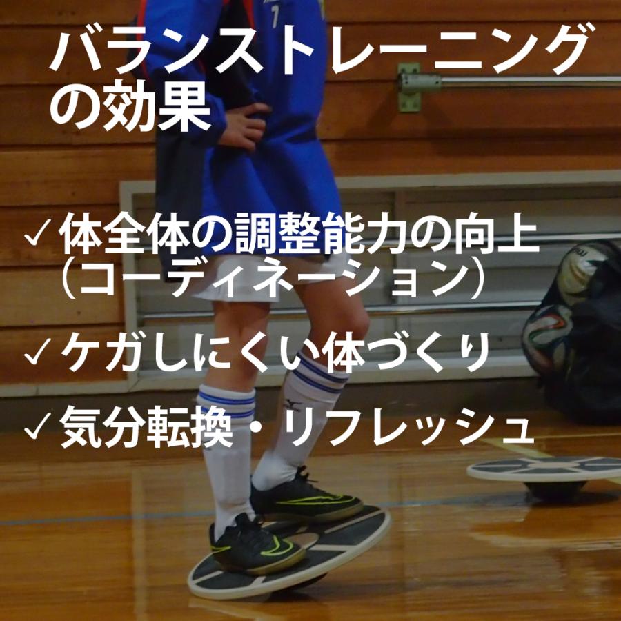 バランスボード バランストレーニングの新しいカタチ マニュアル付 40cm プランク ディスク 体幹 筋トレ ダイエット plank | Fungoal | 05