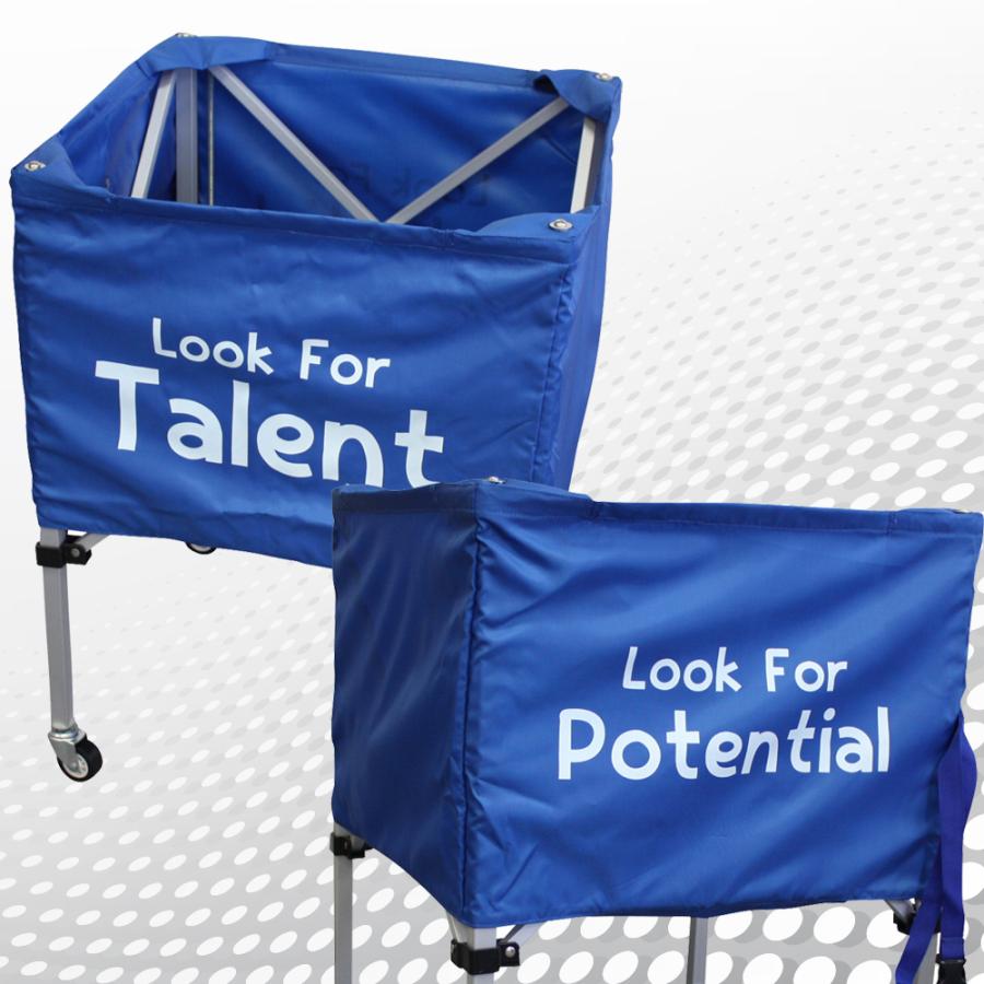 ボールかご 大 キャリーバッグ付 ネーム入れ可能 サッカーボール