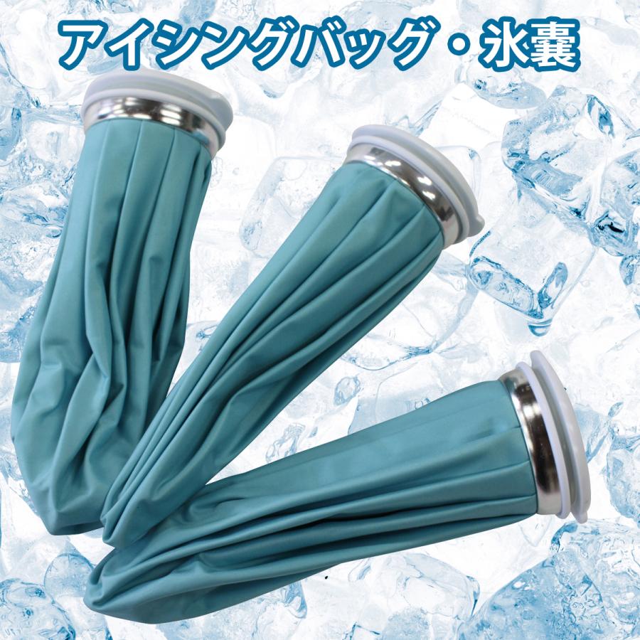 氷のう 氷嚢 アイシングバッグ 熱中症 発熱 アイシング アイス