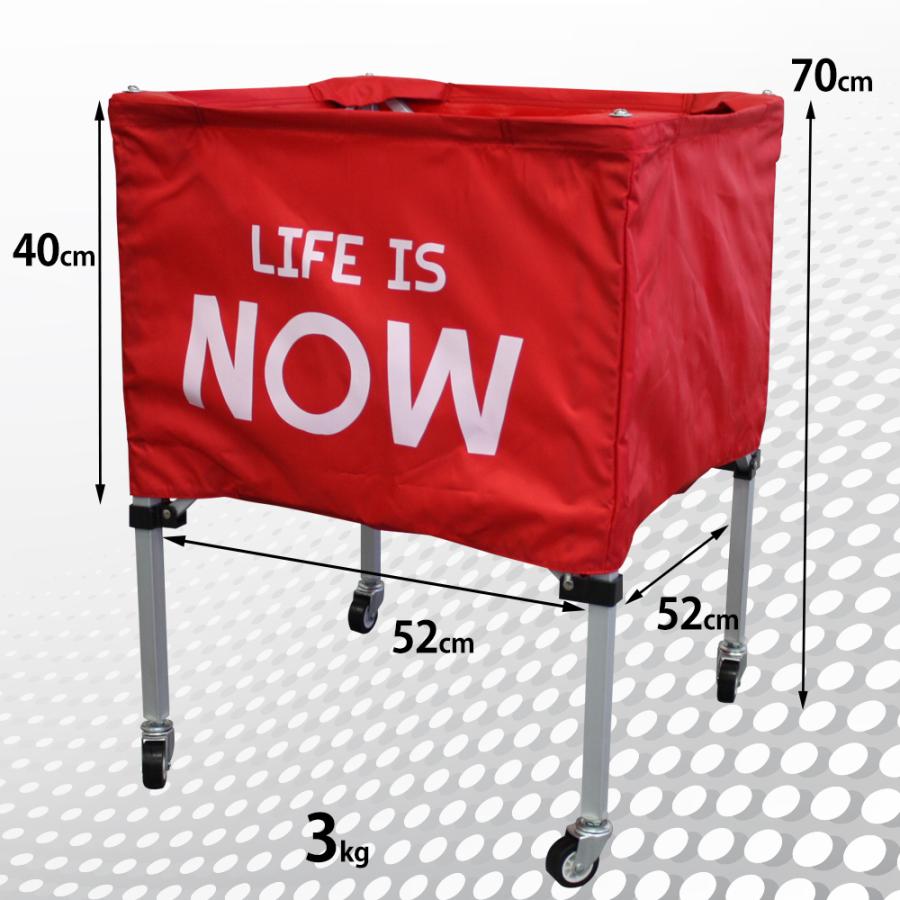 ボールかご 小 キャリーバッグ 付 ネーム入れ可能 サッカー