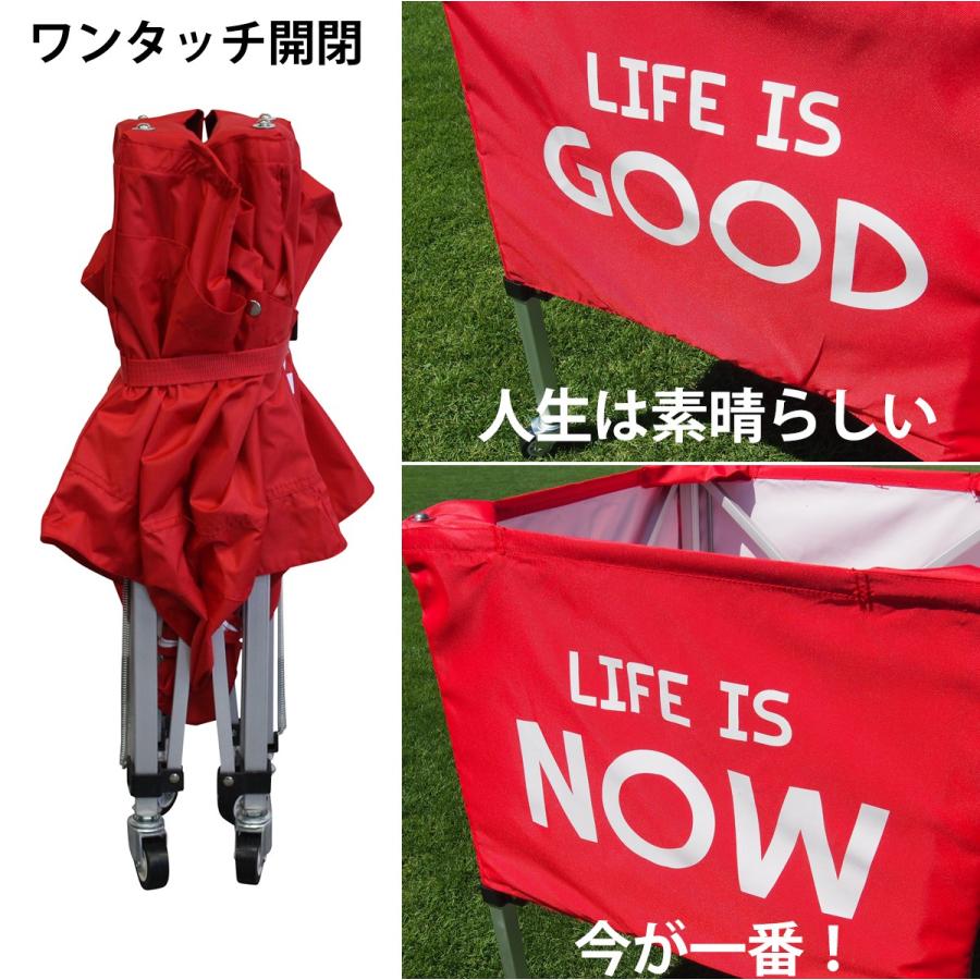 ボールかご 小 キャリーバッグ 付 ネーム入れ可能 サッカー