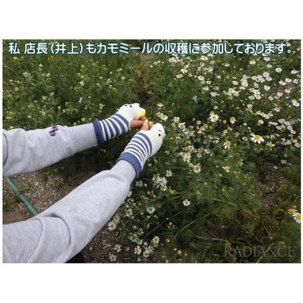 カモミール ティー リーフタイプ ハーブティー 花が丸ごと入っている 無農薬 無添加の安全な国産 岡山県産 カモミール 良い睡眠 Cmt 01 ラジアンス 通販 Yahoo ショッピング