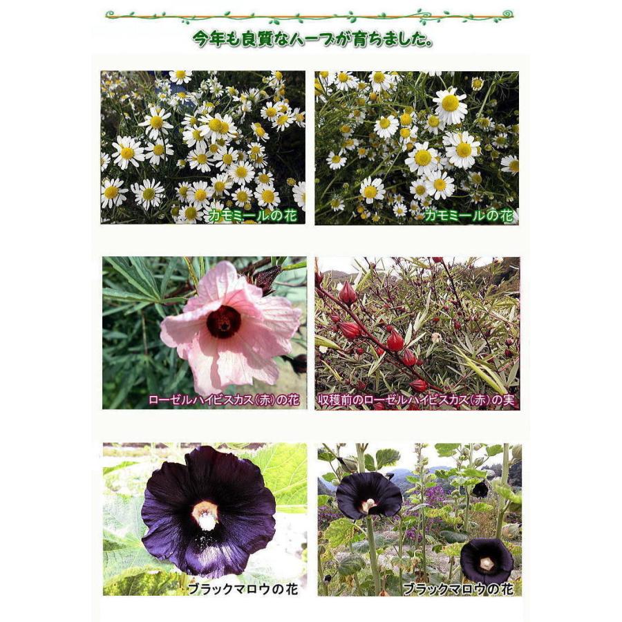 ハーブティー ティーバッグ 岡山県産 10個セット 1箱10個入り お湯を注ぐだけで簡単 すぐできる カモミール ローゼルハイビスカス ブラックマロウ Hbtbg 10s3 ラジアンス 通販 Yahoo ショッピング