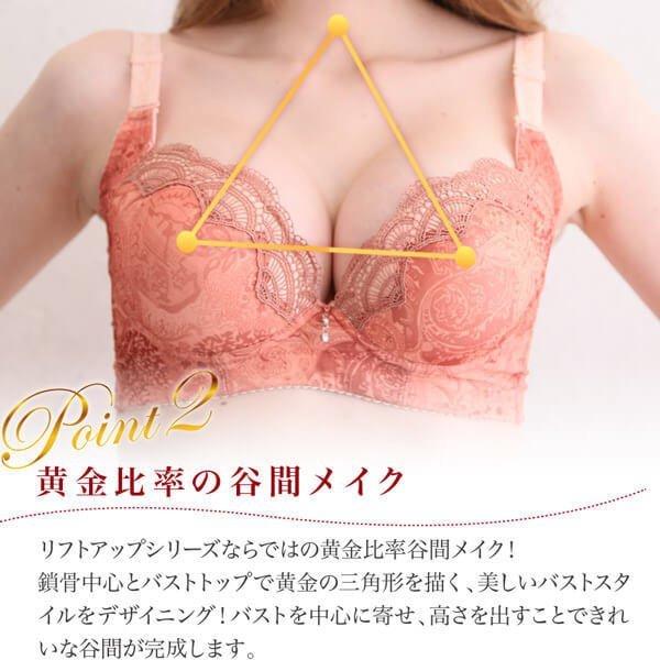 リフトアップロイヤルリターン 育乳ブラ バストアップ 育乳 ブラジャー 脇肉ブラ 補正ブラ 垂れ胸 補正 ラディアンヌ Bra ラディアンヌ Yahoo 店 通販 Yahoo ショッピング