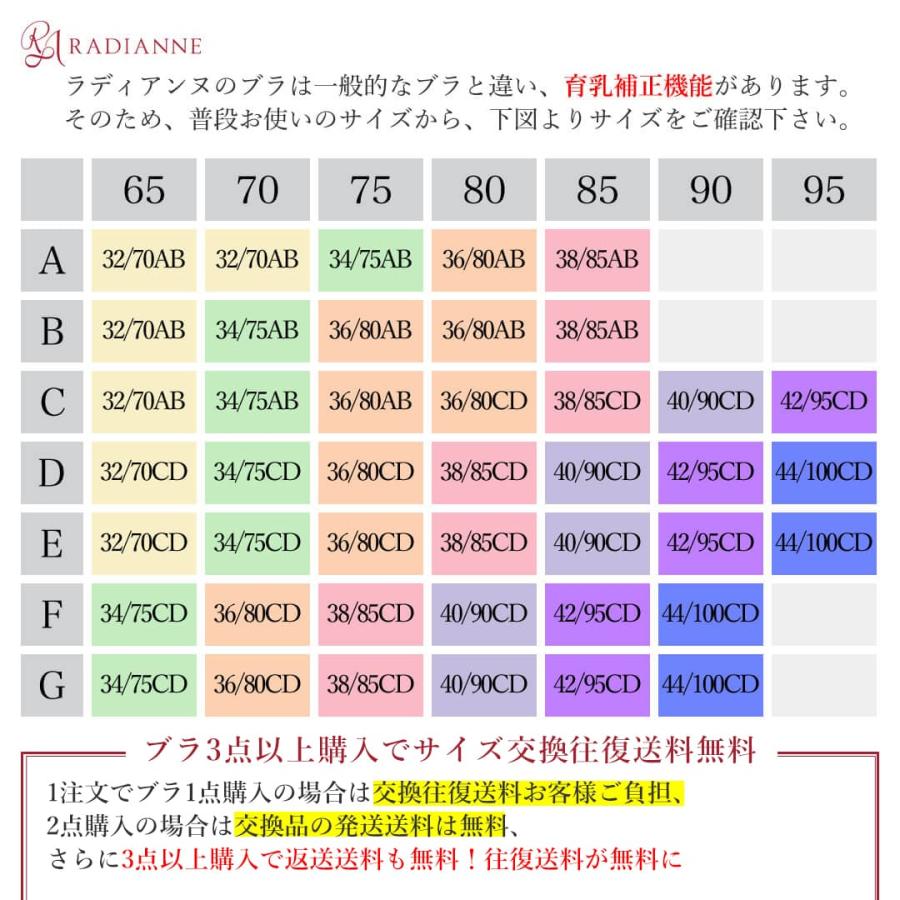 育乳ブラ 小胸 大きいサイズ 盛れる リフトアップスウィートヴァージン ナイトブラ 脇肉 背肉 ブラジャー 昼用 育乳 ラディアンヌ｜radianne｜02