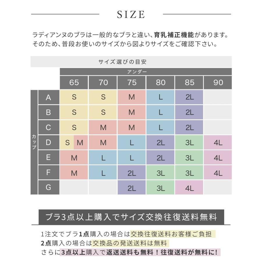 【半額】ナイトブラ 昼夜兼用 ノンワイヤーブラ すっぴんナイトブラ ブラジャー シームレス 大きいサイズ ラディアンヌ |  | 24