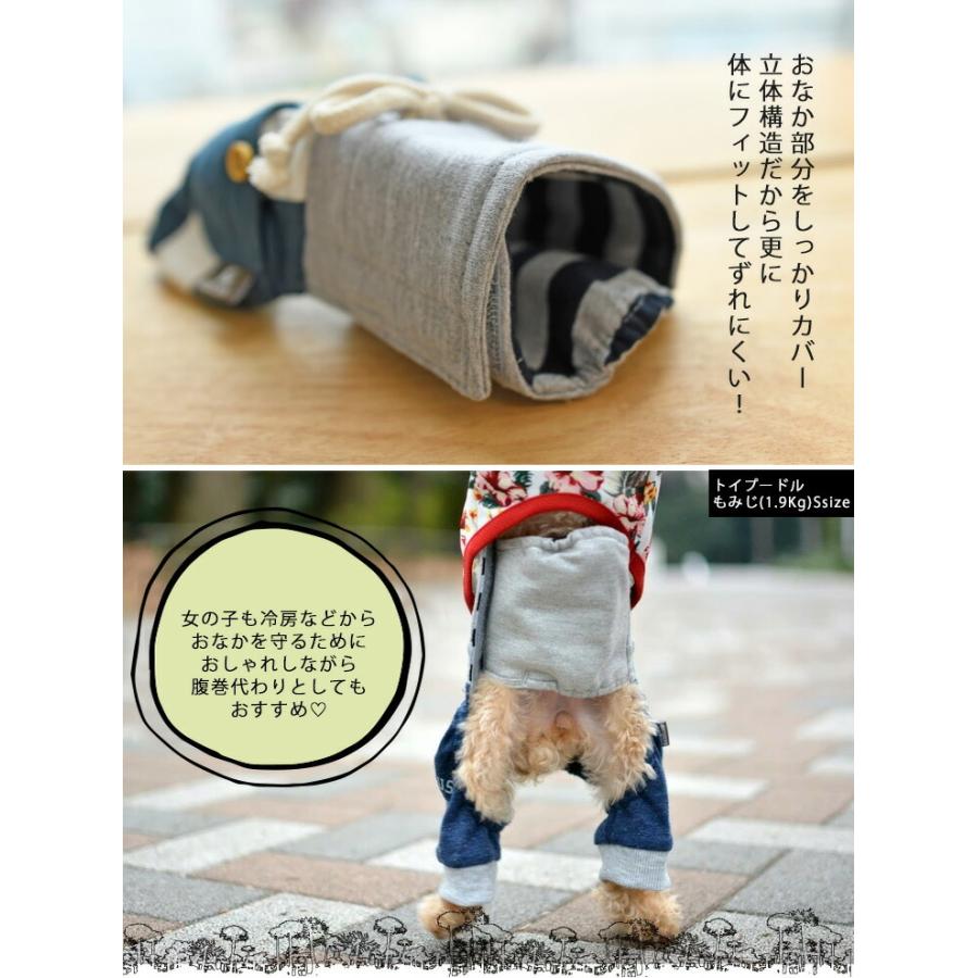 犬 マナー ラディカ マナーグッズ マナーパンツ 犬服 オシャレ メール便可 000 1003 犬の服 Radica 通販 Yahoo ショッピング