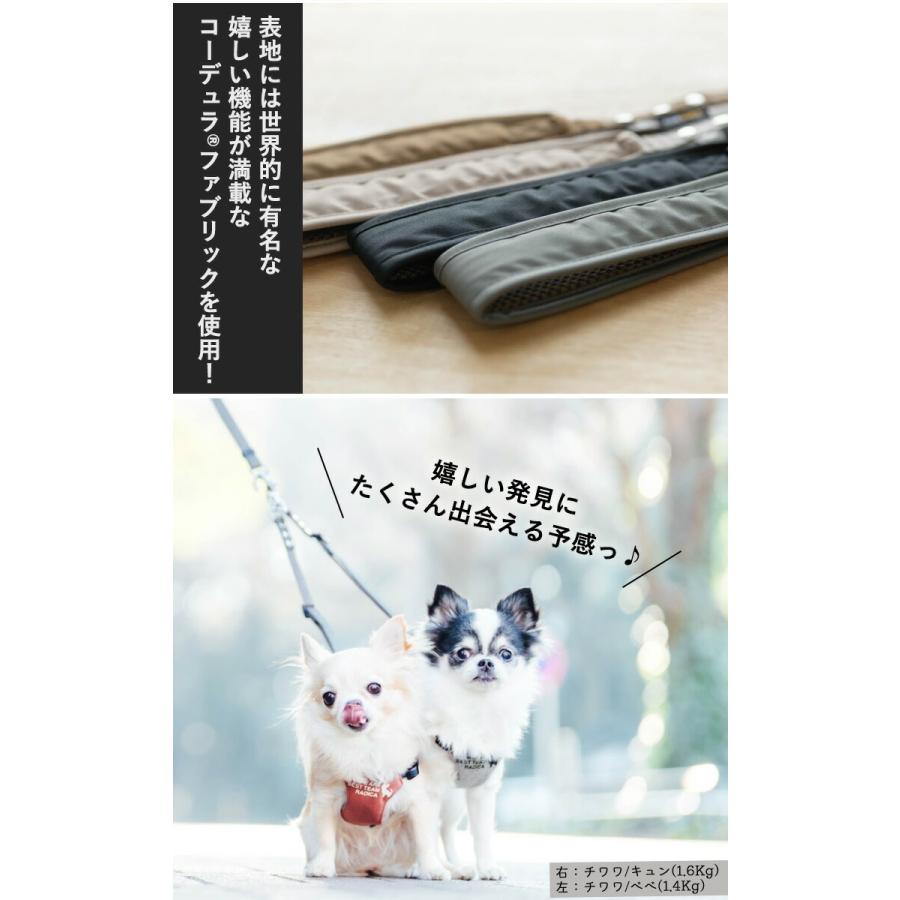 ふるさと納税 犬用 リード コーデュラ R ツインリード Mサイズ 撥水 防汚 散歩 多頭飼い 2頭引き用リード メール便可 Discoversvg Com