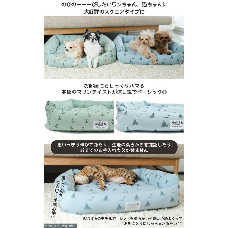 税込 送料無料 夏ベッドsale 2790円 セール 犬 猫 ベッド 虫よけ ラディカ スクエアベッド Mサイズ クッション プレサーモc 25 防蚊 猫用 犬用 メール便不可 Dprd Jatimprov Go Id