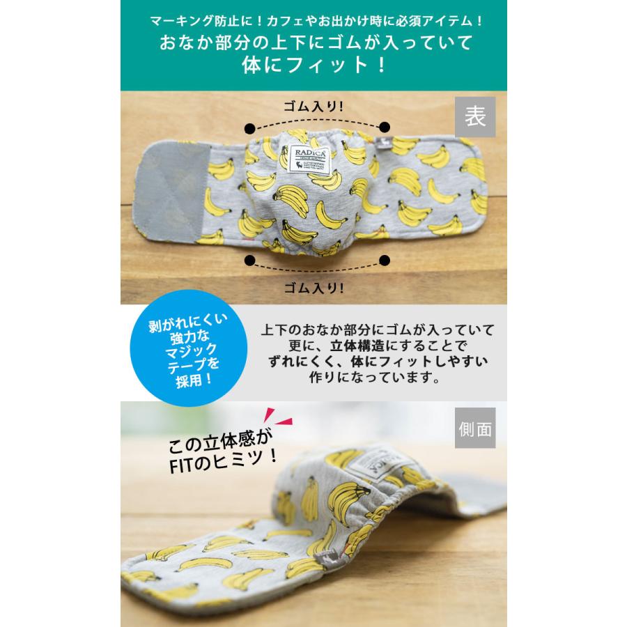 犬 犬用品 マナー ラディカ RADICA+Y マナーベルト マナーグッズ パピー シニア 散歩用品 散歩グッズ メール便可｜radica｜11