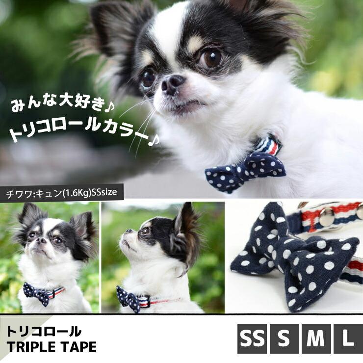 セール Sale 犬 首輪 ラディカ Radica カラー リボン付き おしゃれ リボン メール便可 R5037 1005 犬の服 Radica 通販 Yahoo ショッピング