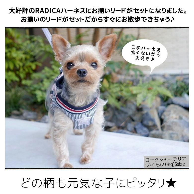 新色追加 犬 ハーネス ラディカ RADICA ハーネス ( リード 付き ) S M サイズ 胴輪 セール SALE メール便可 :R5040-0106:犬の服 RADICA - 通販 - Yahoo!ショッピング 新色追加 犬 ハーネス ラディカ RADICA ハーネス ( リード 付き ) S M サイズ 胴輪 セール SALE メール便可 :R5040-0106:犬の服 RADICA - 通販 - Yahoo!ショッピング