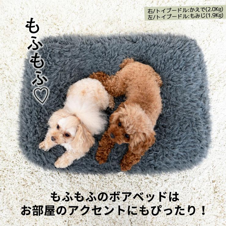 予約 9月23日 順次発送 犬 ベッド ラディカ Rady もふもふ スクエアビーズベッド Mサイズ クッション メール便不可 R8102 C2 Radica 通販 Yahoo ショッピング