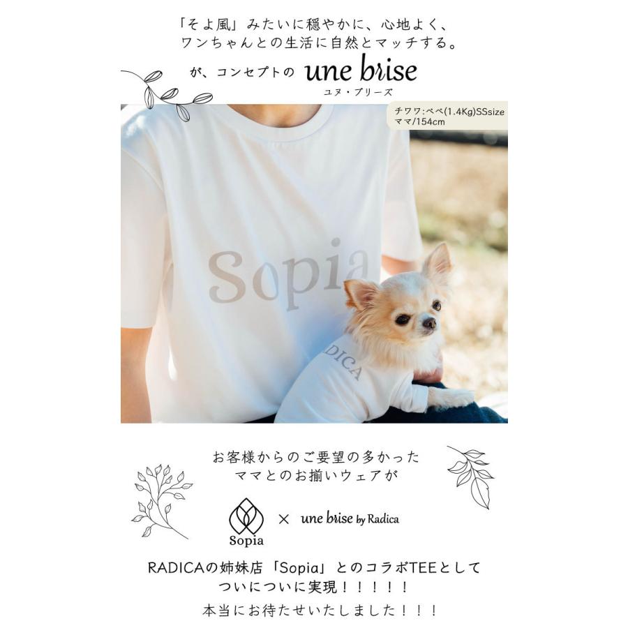 本命ギフト 半額セール Sale 犬 服 ラディカ Unebrise ソロテックス 半袖tee ドッグウエア ウェア 抗菌 防臭 伸縮性 ソフト 機能 素材 メール便可 Aynaelda Com