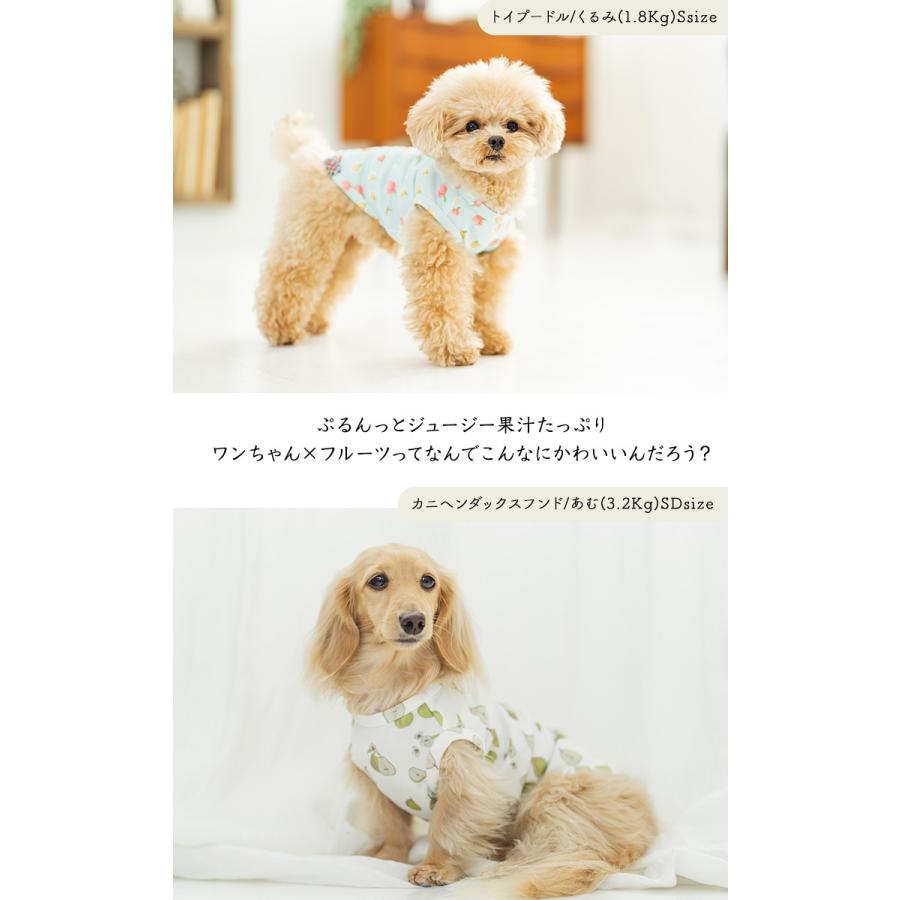 超特価sale開催 犬 服 虫よけ ラディカ Unebrise フルーツ メッシュ タンク ドッグウエア ウェア プレサーモc25 防蚊 オールメッシュ メール便可 Discoversvg Com