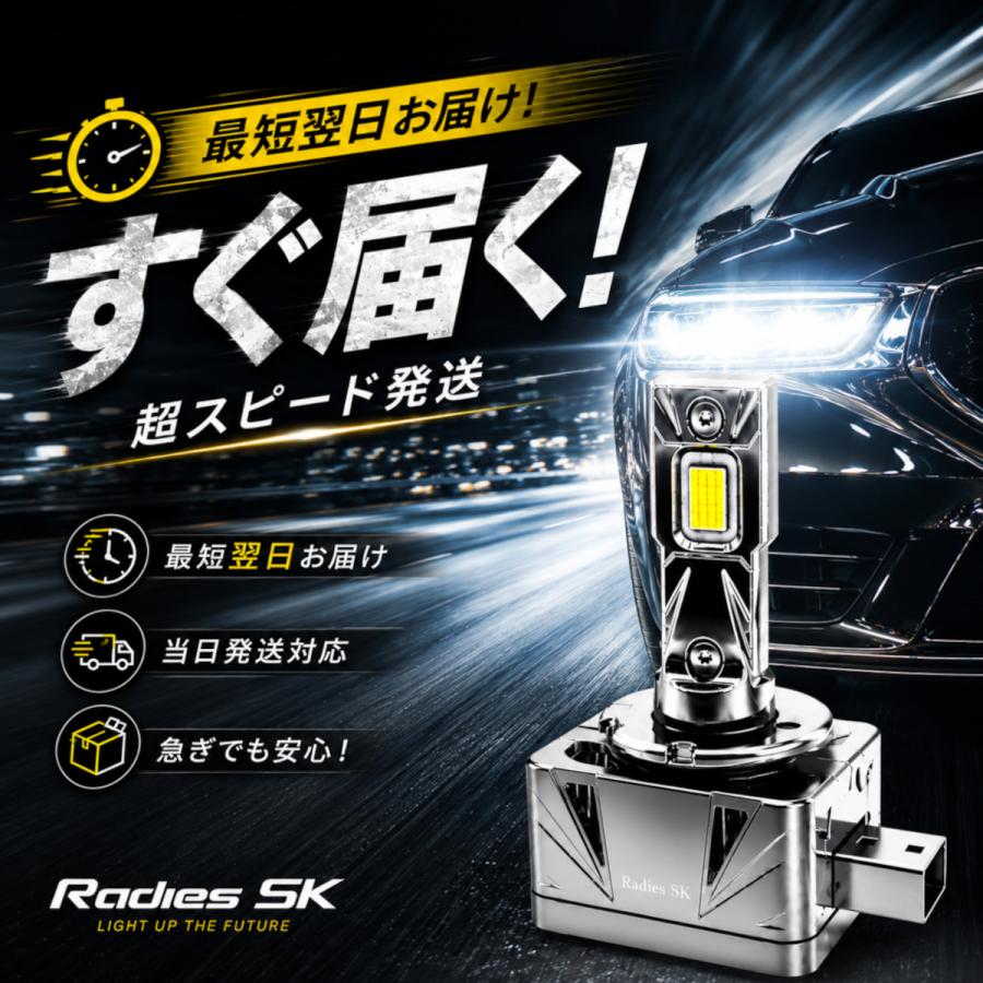 Radies SK D2 D4 D1 HID バラスト 純正交換 D2S D2R D4S D4R D1S D1R