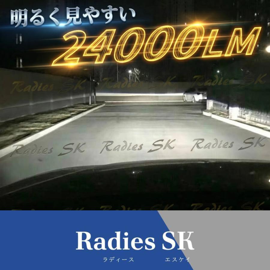 Radies SK 配線フルセット 配線加工D2S D4S D2 D2R D4 D4R 24V 12V HID