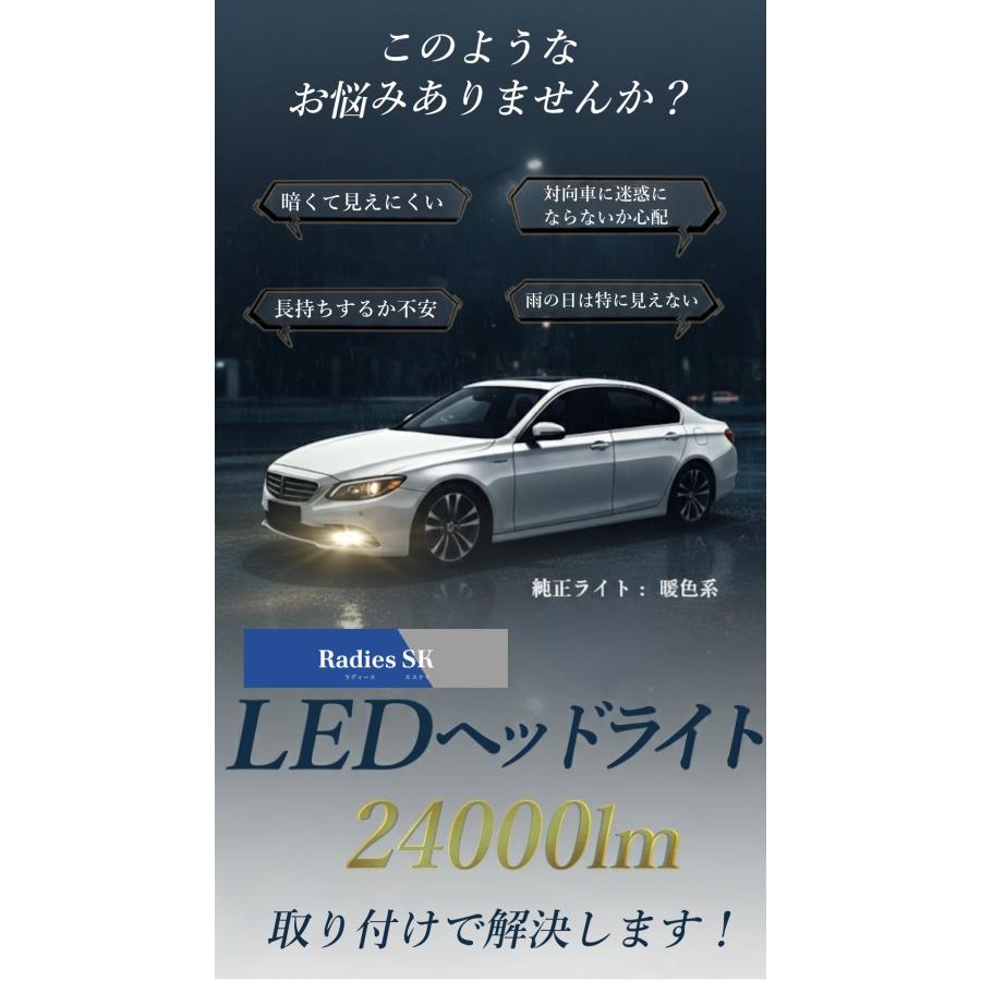 Radies SK 配線フルセット 配線加工D2S D4S D2 D2R D4 D4R 24V 12V HID
