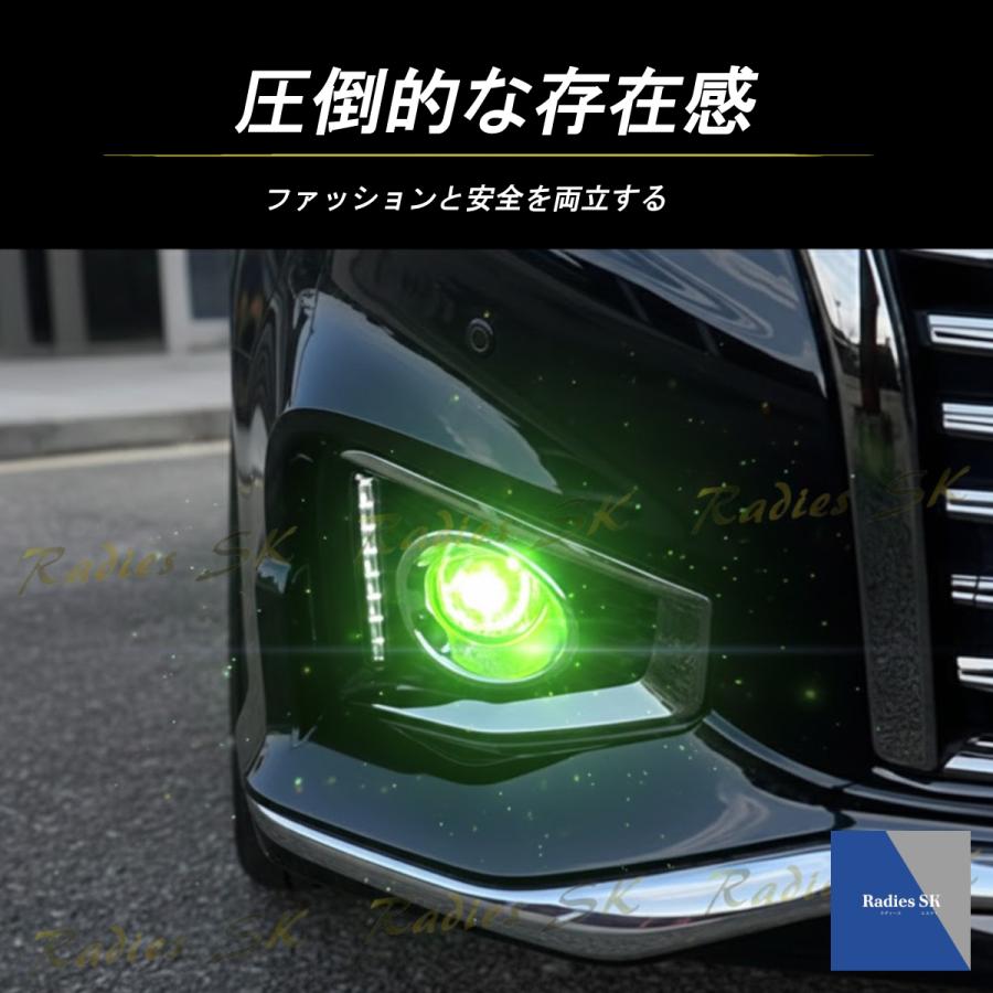 Radies SK プリウス 30系 前期 後期 ZVW30 LED フォグランプ 2色