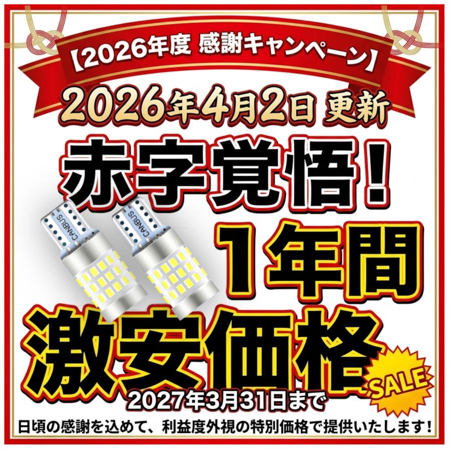 Radies SK 【今年度感謝セール】Radies SK T10 LED 爆光 42連