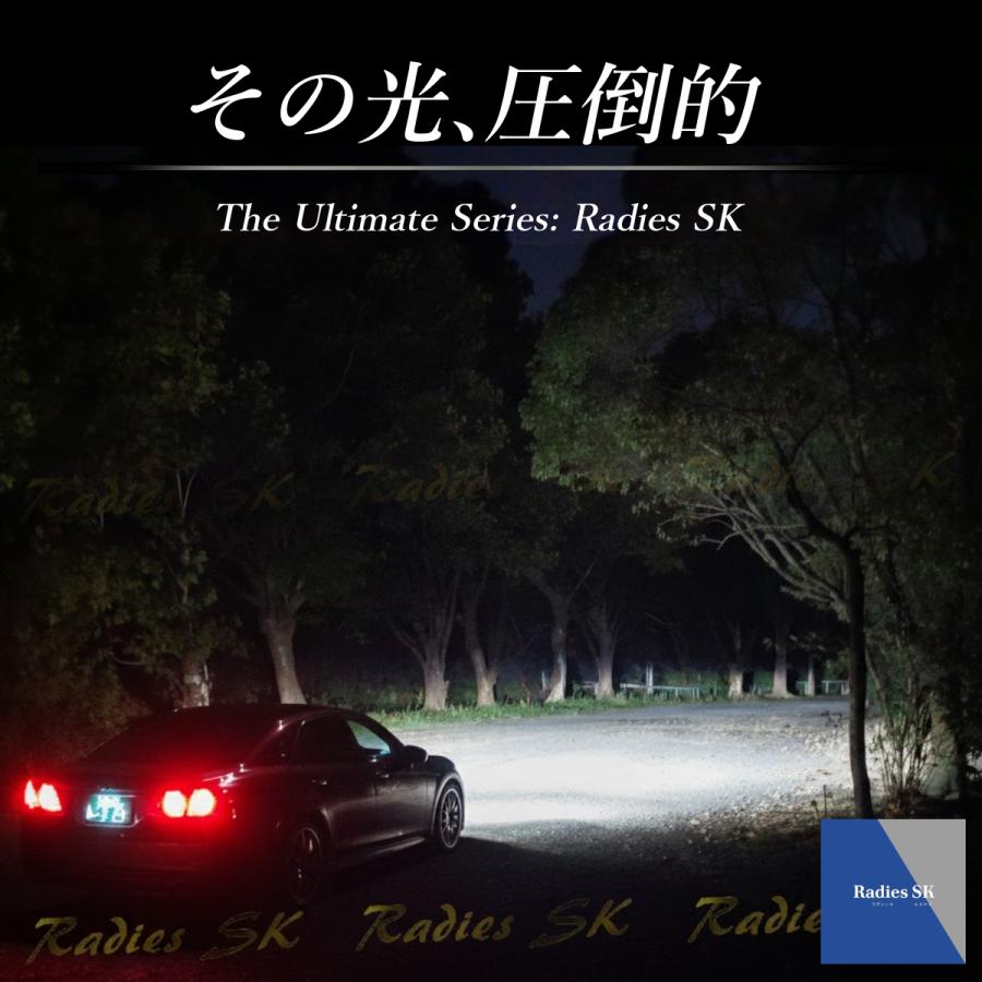 Radies SK アルファード 20系 前期 後期 D4S D4R LED ヘッドライト