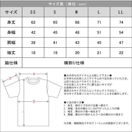 Tシャツ 無地 速乾 ドライ サラサラ グリマー 激安服 3.5オンス 超薄手 インナー ユニセックス インターロック スポーツ UVTシャツ UPF50+ 350-AIT｜radio-flyer｜20