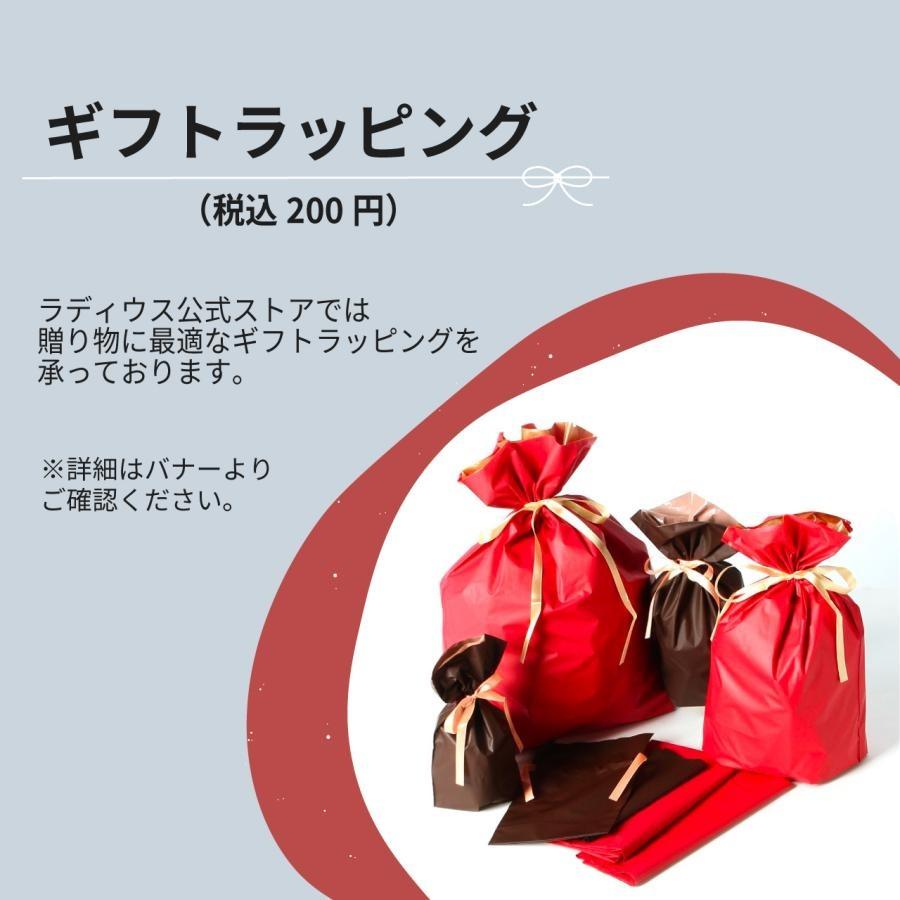 ラディウス radius EP-D10 睡眠用イヤープラグ DROP in Sleep 耳栓 就寝 集中 肌に優しい 目立たない ディープマウントイヤーピースZONE付属 |  | 12