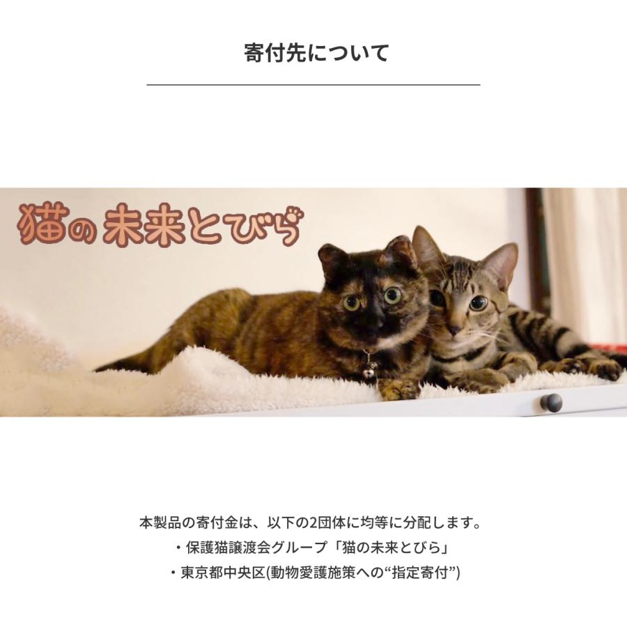 ＼新柄キジシロ・サバトラ登場！／ ラディウス radius HP-C28BT 完全ワイヤレスイヤホン Bluetooth NEKO ねこ 猫イヤホン | radius | 20