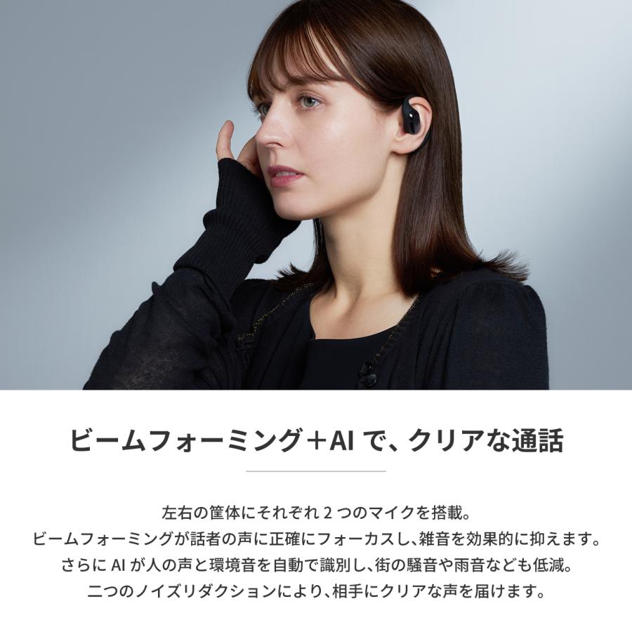 radius（ラディウス） radius HP-H300BT イヤーフック型完全ワイヤレス