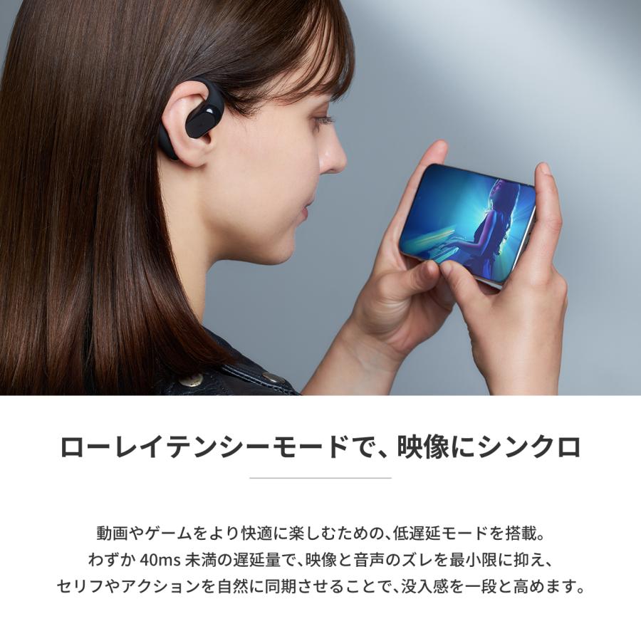 radius（ラディウス） radius HP-H300BT イヤーフック型完全ワイヤレス