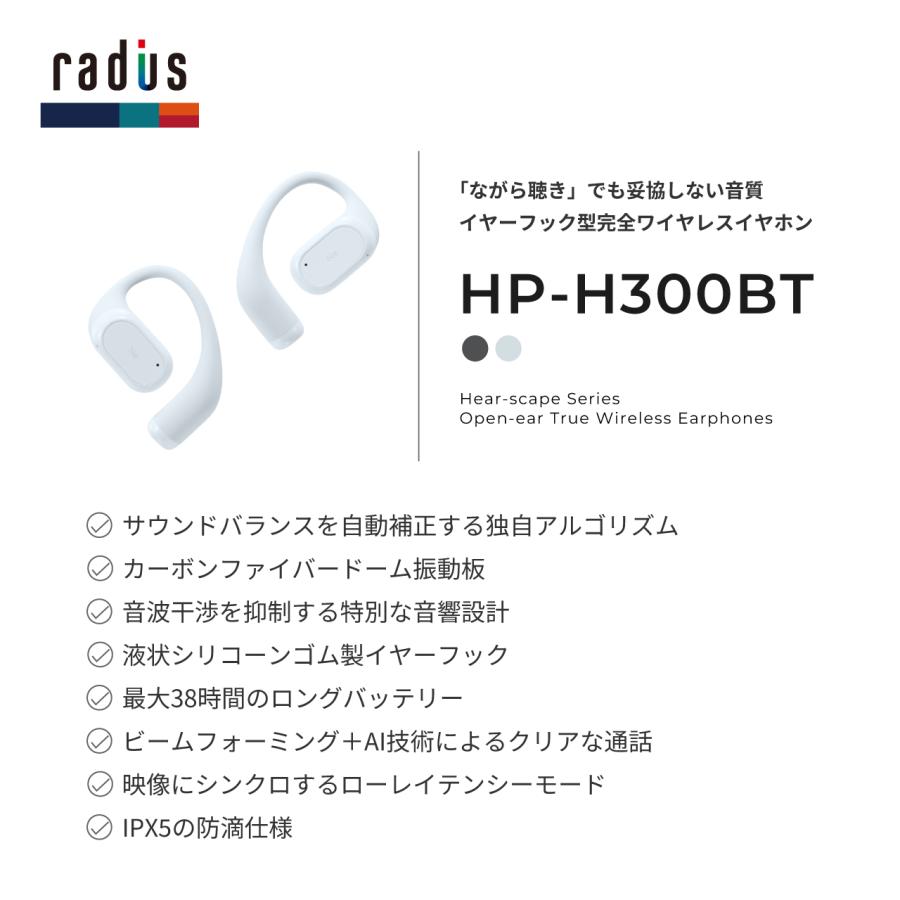 radius（ラディウス） radius HP-H300BT イヤーフック型完全ワイヤレス