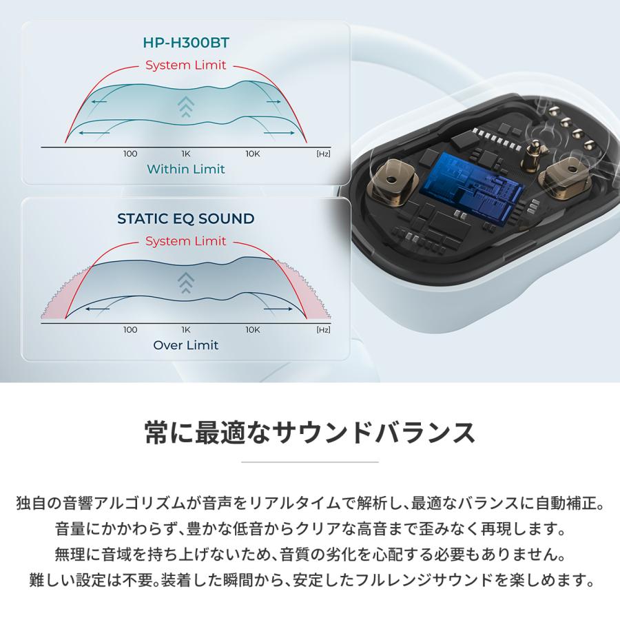 radius（ラディウス） radius HP-H300BT イヤーフック型完全ワイヤレス