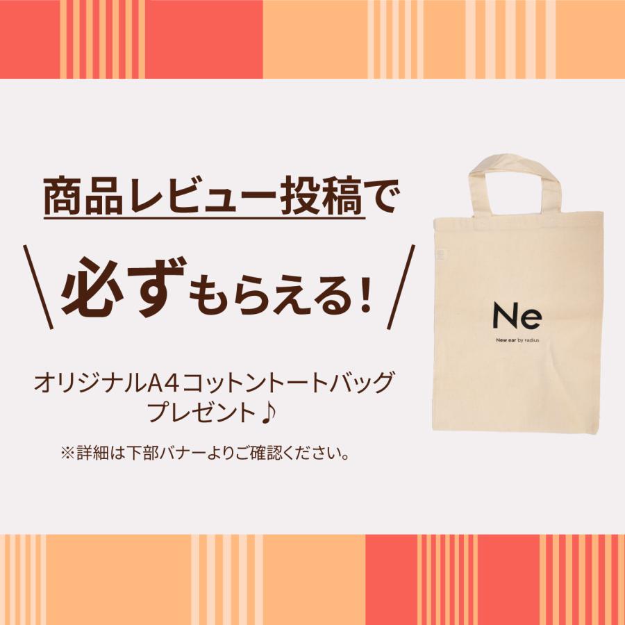 radius ラディウス HP-NX100 イヤホン 有線 NeEXTRAシリーズ radius ラディウス HP-NX100 イヤホン 有線 NeEXTRAシリーズ