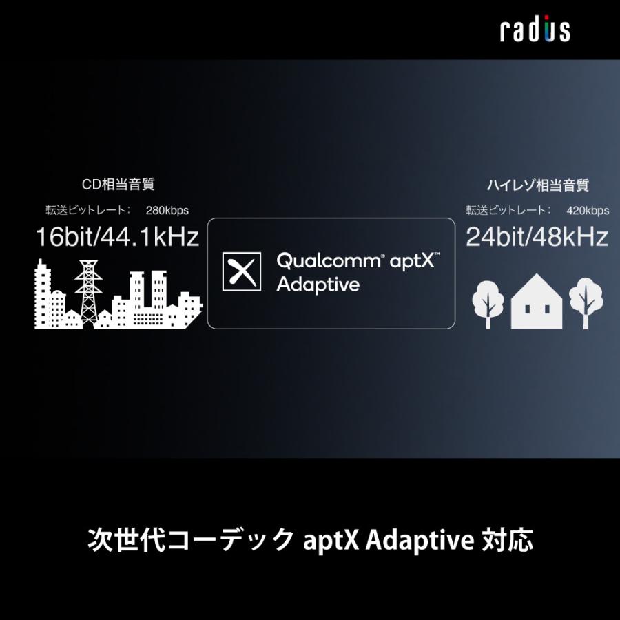 ラディウス radius HP-V500BT 完全ワイヤレスイヤホン 無線 Bluetooth 通話 iPhone 重低音 ワイヤレス ギフト | radius | 09