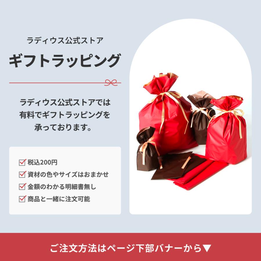 ラディウス radius RM-ATZ19 バイノーラル録音イヤホン型マイク｜ASMR バイノーラルマイク 配信 ストリーミング ウィンドスクリーン付 | radius | 15