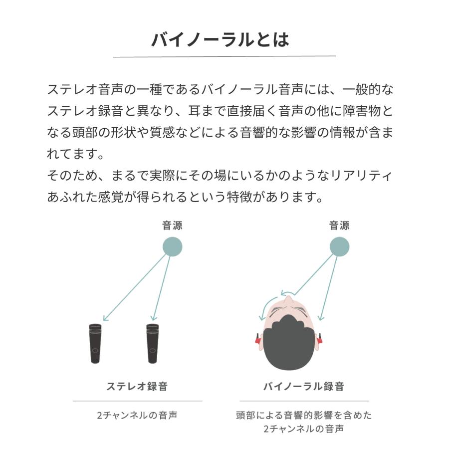 radius ラディウス RM-ATZ19 バイノーラル録音イヤホン型マイク radius ラディウス RM-ATZ19 バイノーラル録音イヤホン型マイク