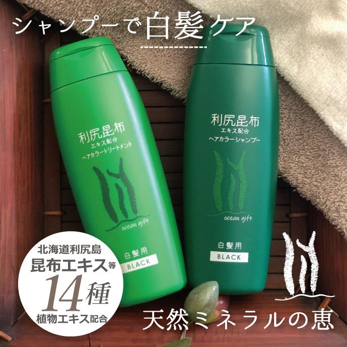 利尻昆布 カラーシャンプー 利尻昆布エキス 白髪染め ノン 利尻昆布 カラーシャンプー 利尻昆布エキス 白髪染め ノン
