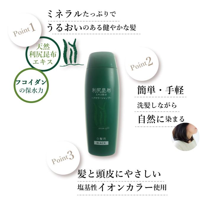 2個セット　利尻昆布　ヘアカラー　シャンプー　トリートメント　250mL　白髪染め　ノンシリコン｜rafflet｜05