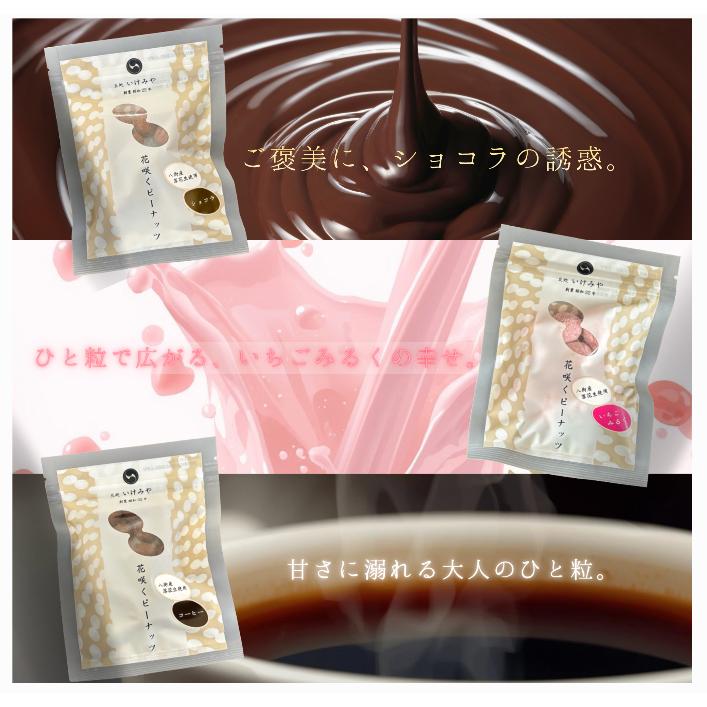 【阪神タイガース ウル虎の夏2026協賛キャンペーン！】花咲くピーナッツ(ショコラ、イチゴミルク、コーヒー） | 