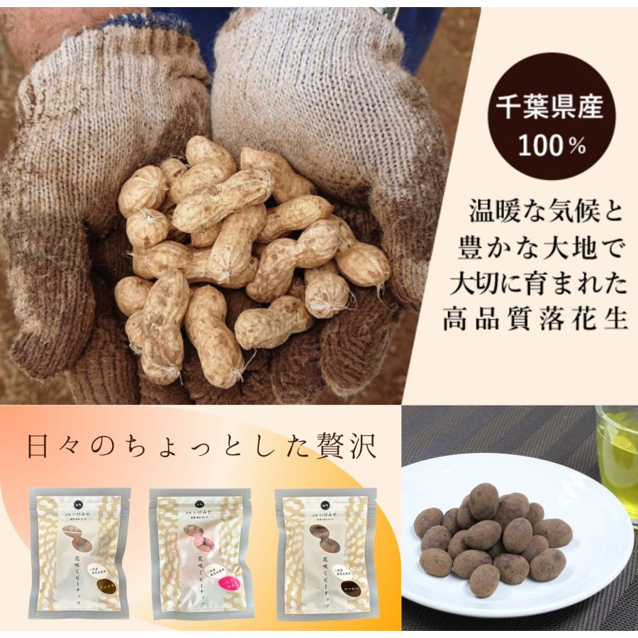 【阪神タイガース ウル虎の夏2026協賛キャンペーン！】花咲くピーナッツ(ショコラ、イチゴミルク、コーヒー） |  | 03