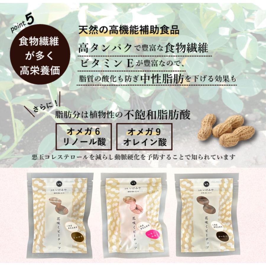 【阪神タイガース ウル虎の夏2026協賛キャンペーン！】花咲くピーナッツ(ショコラ、イチゴミルク、コーヒー） |  | 04
