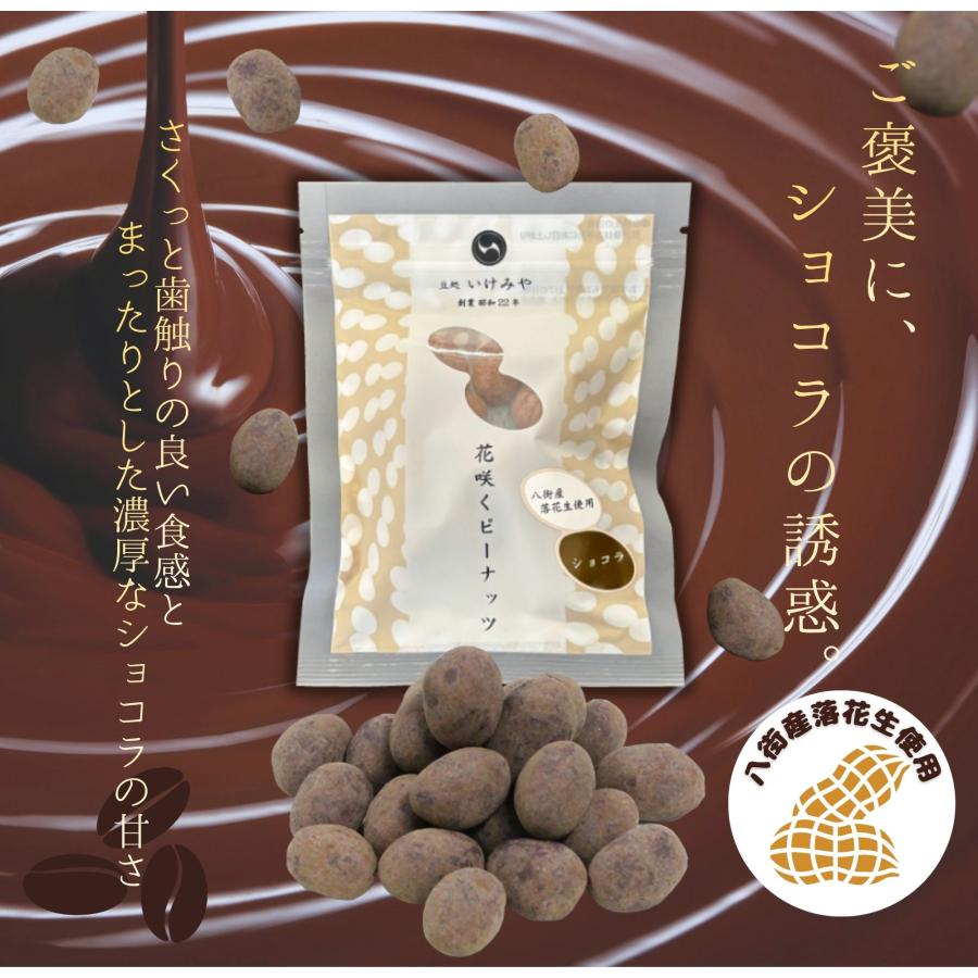 【阪神タイガース ウル虎の夏2026協賛キャンペーン！】花咲くピーナッツ(ショコラ、イチゴミルク、コーヒー） |  | 05