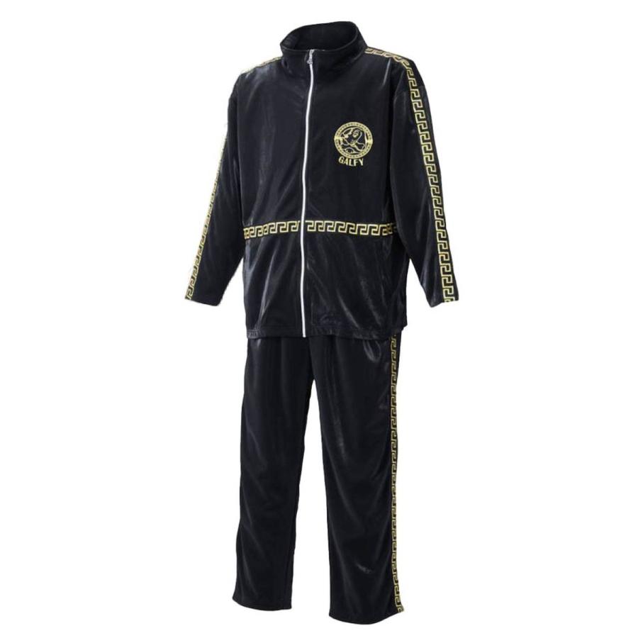 GALFY フリーサイズ　ジャージ セットアップ　上下　大きいサイズ　黒龍　犬 ジャージ 上下 大きいサイズ メンズ GALFY ガルフィ ドッグ 犬 お洒落