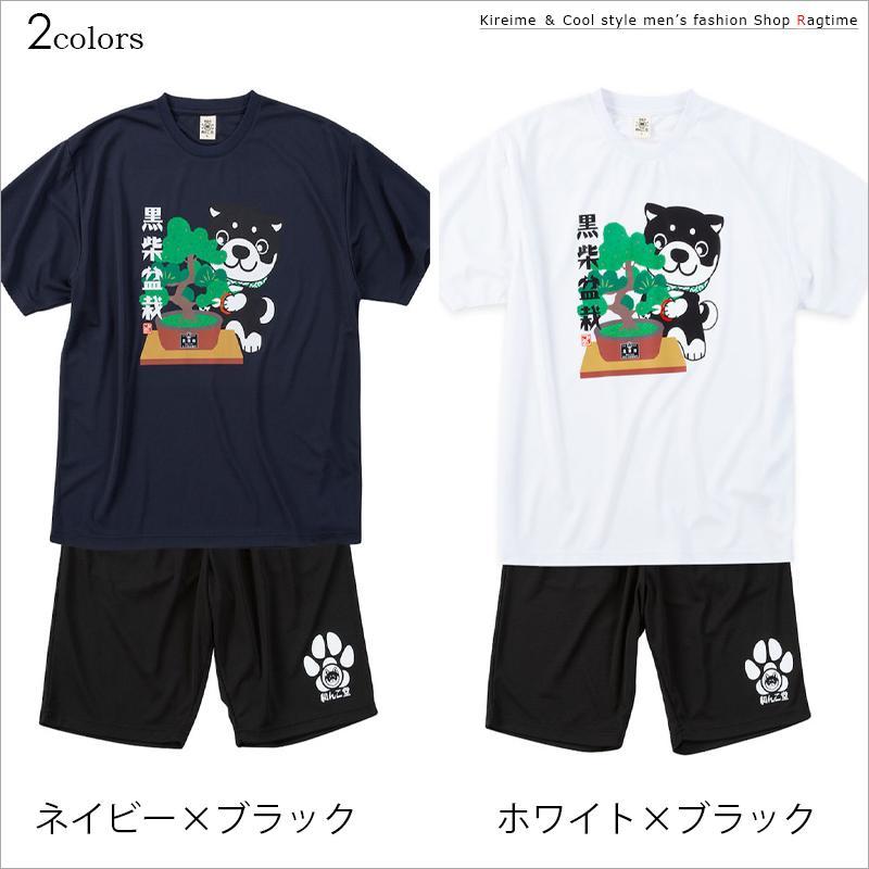 Tシャツ ハーフパンツ 上下 セットアップ 大きいサイズ メンズ 黒柴印